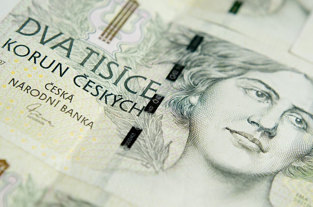 česká koruna